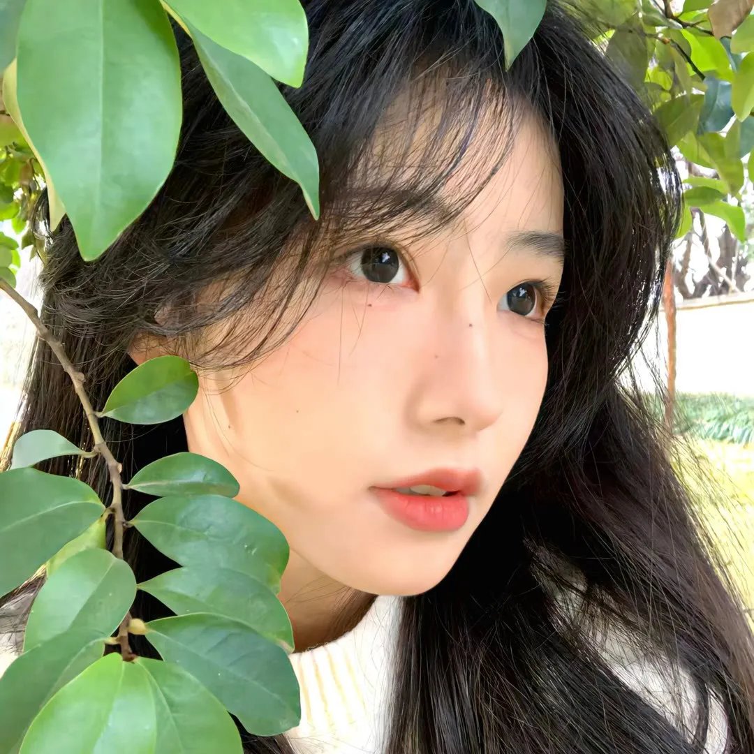 复仇好闺蜜
